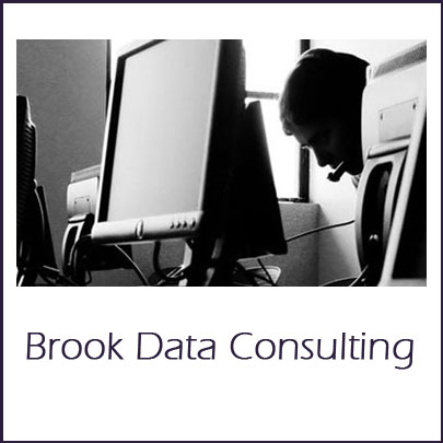 http://www.brookdata.co.uk/ Brook Data Consulting - data collection and analysis since 1984